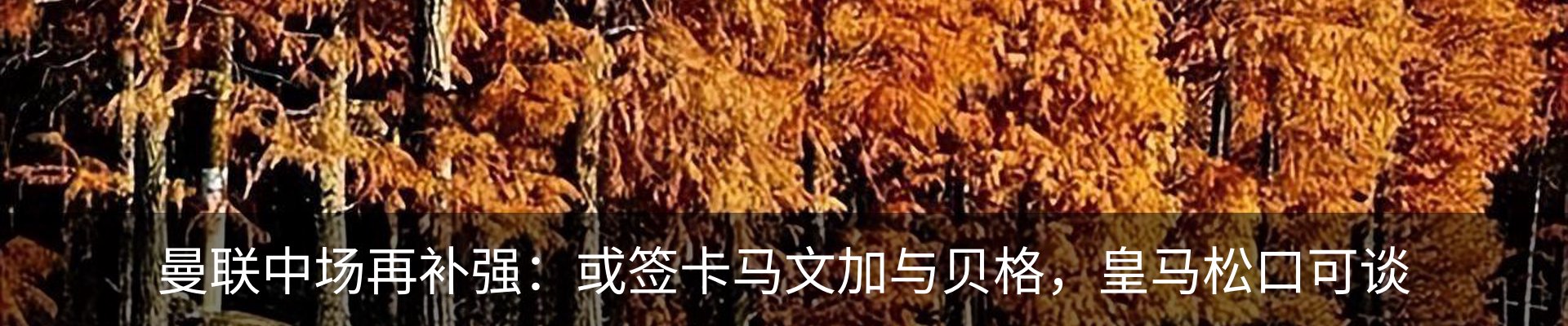 资讯动态